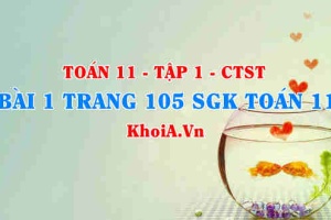 Bài 1 trang 105 SGK Toán 11 Tập 1 Chân trời sáng tạo